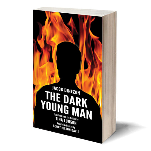 The Dark Young Man Book Cover